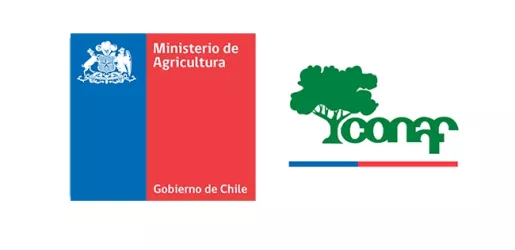 Logo de la votación Cambio Caja Compensación CONAF