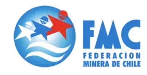 Logo de la votación Elección complementaria Federación Minera