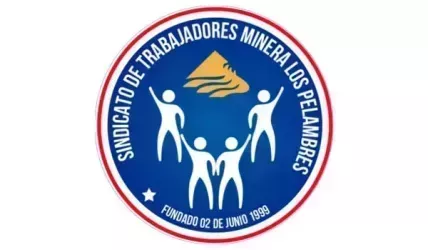 Logo de la votación Renovación directiva Sindicato Minera Los Pelambres