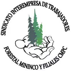 Logo de la votación Elección de Directorio Sindicato Interempresa de Trabajadores de la empresa forestal mininco SPA y Filiales de empresas CMPC
